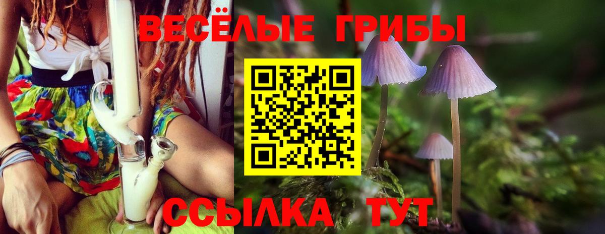 NBOMe  МАРИХУАНА  ГАШИШ  А ПВП СК кристаллы  Codein  Карачаевск  Меф МЯУ МЯУ   Гашиш  Вход с VPN  Каннабис  ЭКСТАЗИ 