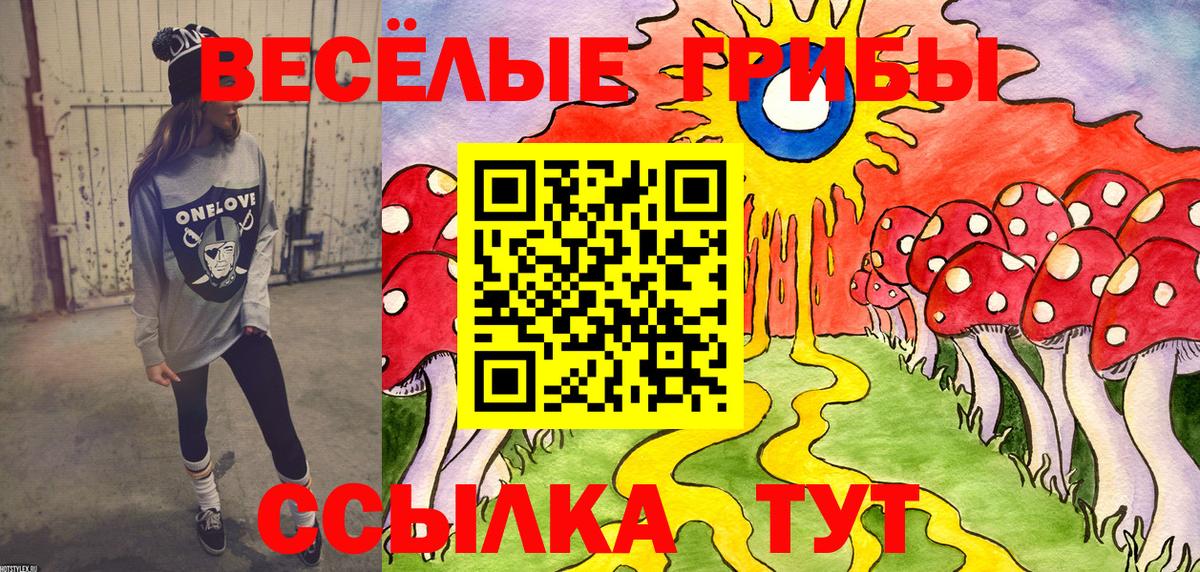 Карачаевск  Псилоцибиновые грибы прущие грибы  Вход с VPN 